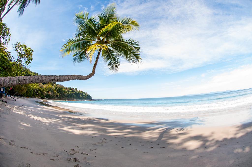 Hotel Punta Leona Jaco Ngoại thất bức ảnh