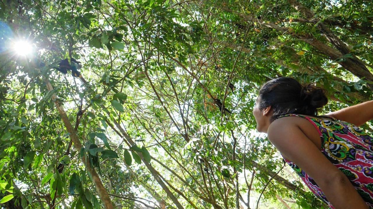 Hotel Punta Leona Jaco Ngoại thất bức ảnh